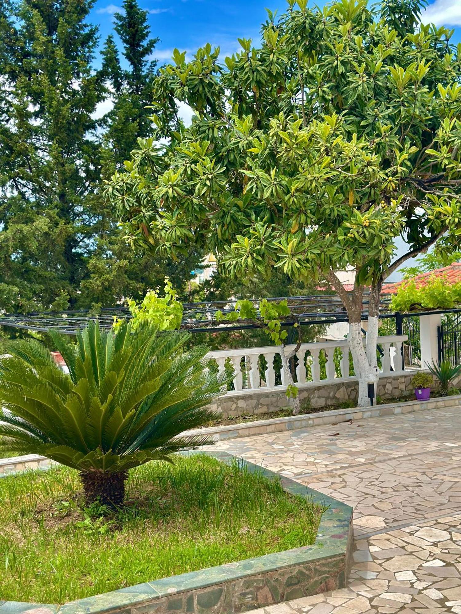 Villa Braho Гірокастра Екстер'єр фото
